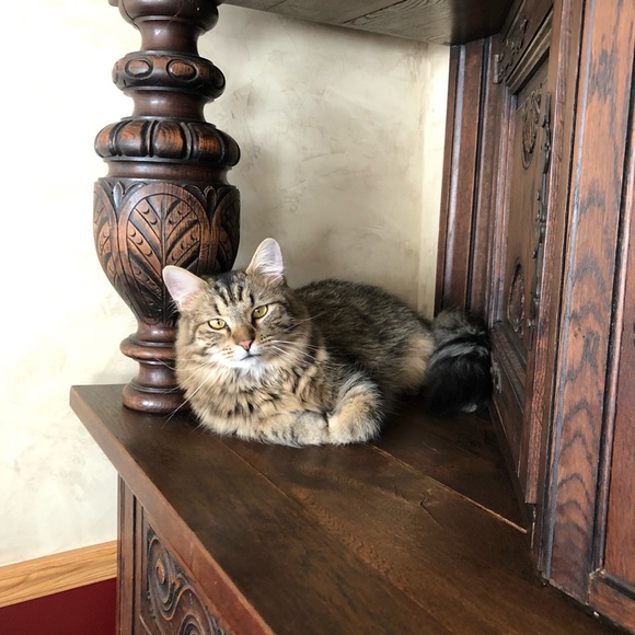 Meet your Posher, Kim - Picture 7 of 15